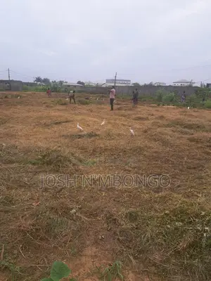 Zone ALU Congo