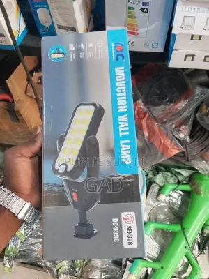 Lampe Solaire Induction