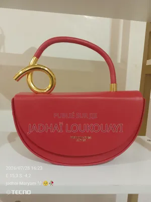 Sac Chic Et Élégant