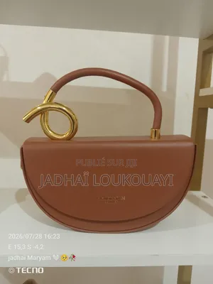 Sac Chic Et Élégant