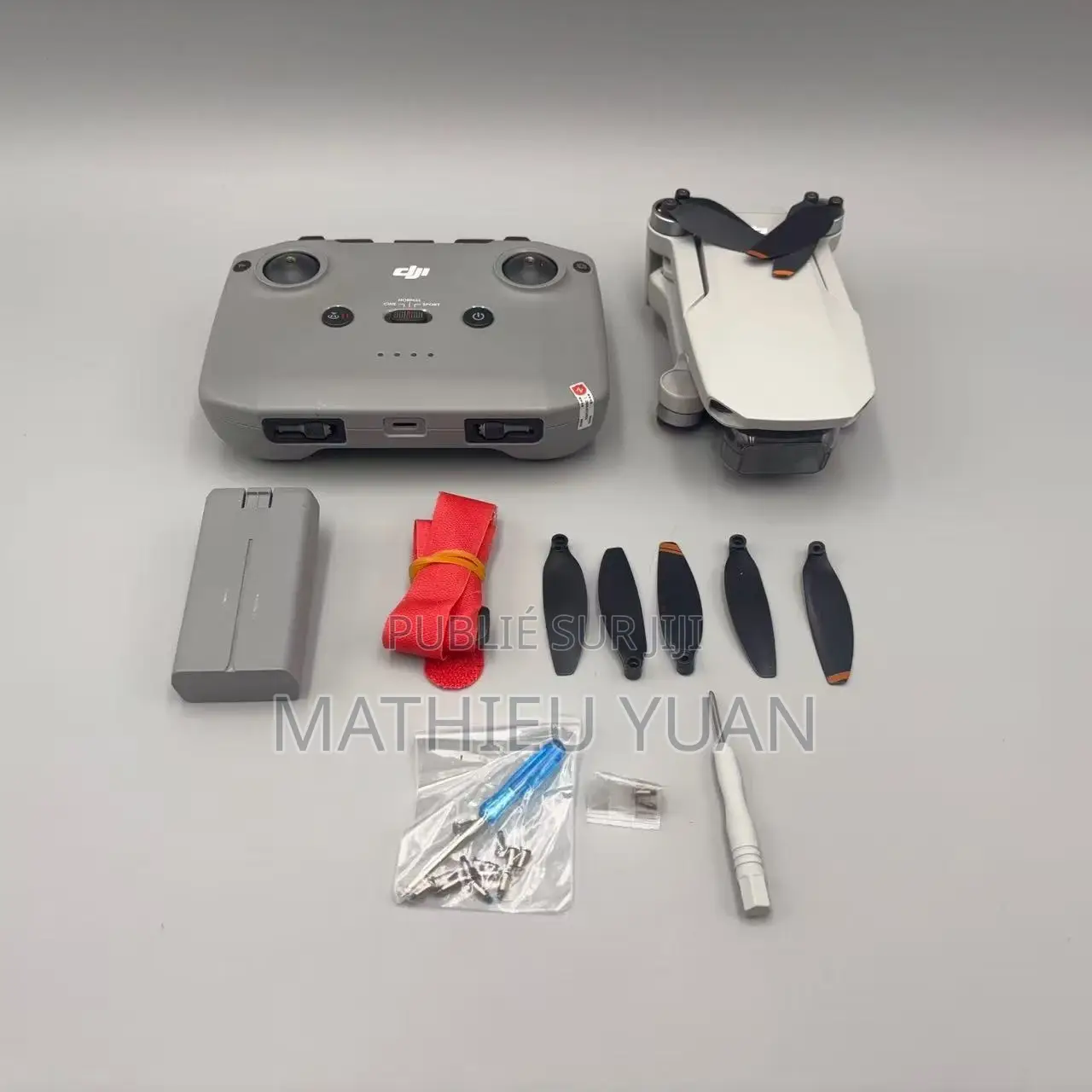 Drone DJI Mini Pack Standard