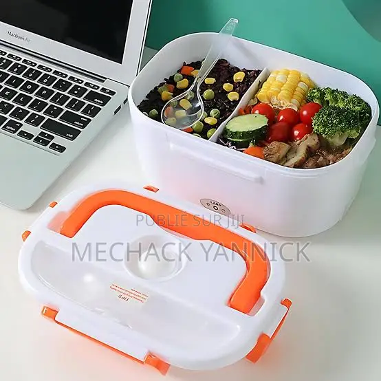 Assiette Électrique Chauffante