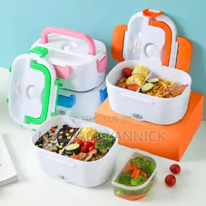 Assiette Électrique Chauffante