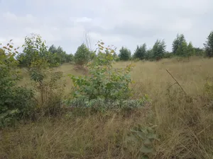 Parcelle À Vendre