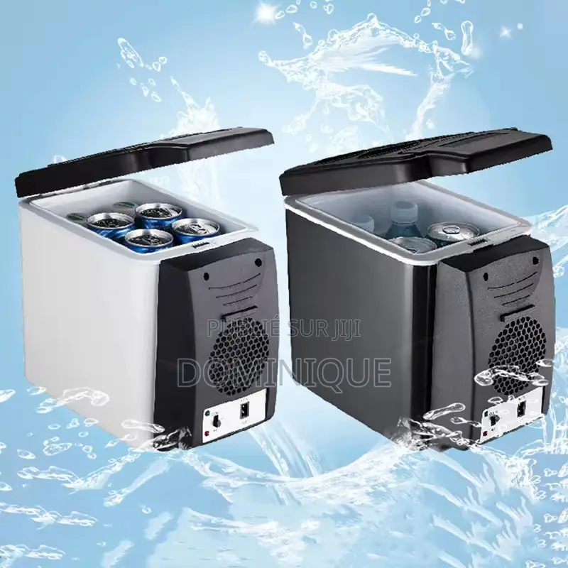 Mini Frigo De Voiture