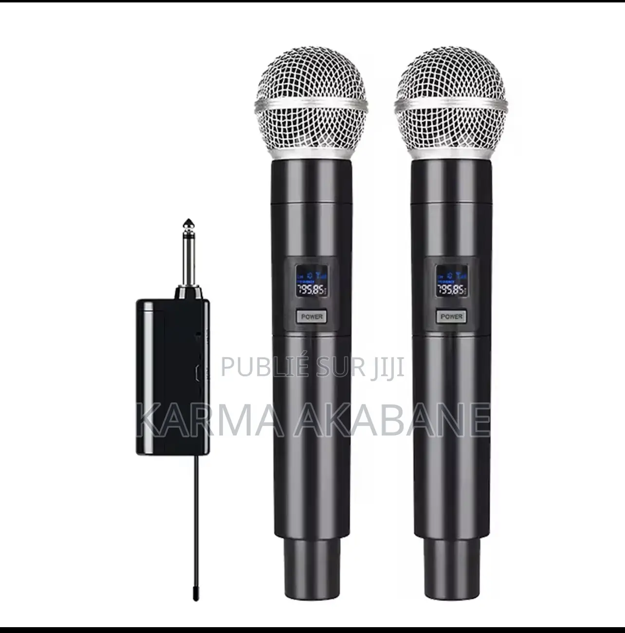 Micro Baladeur Pro Rechargeable