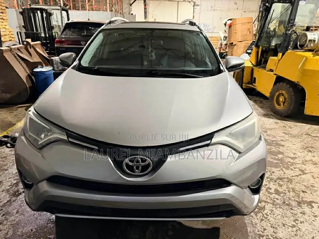 Toyota RAV4 2016 Gris