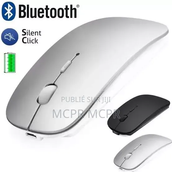 Souris Sans Fil Rechargeable Type C