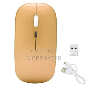 Souris Sans Fil Rechargeable Type C