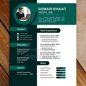 Conception De CV Professionnels