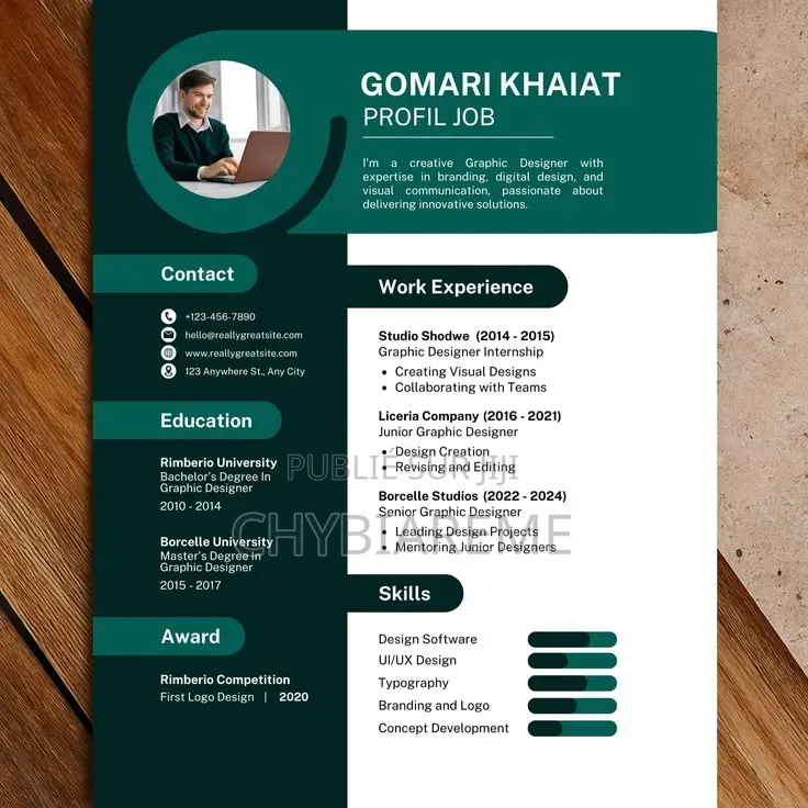 Conception De CV Professionnels