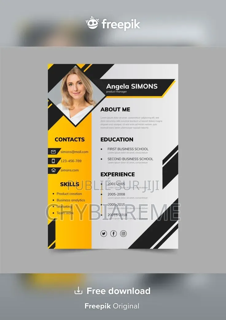 Conception De CV Professionnels