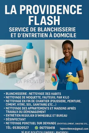 Service De Blanchisserie Et Entretien Et Services À Domicile