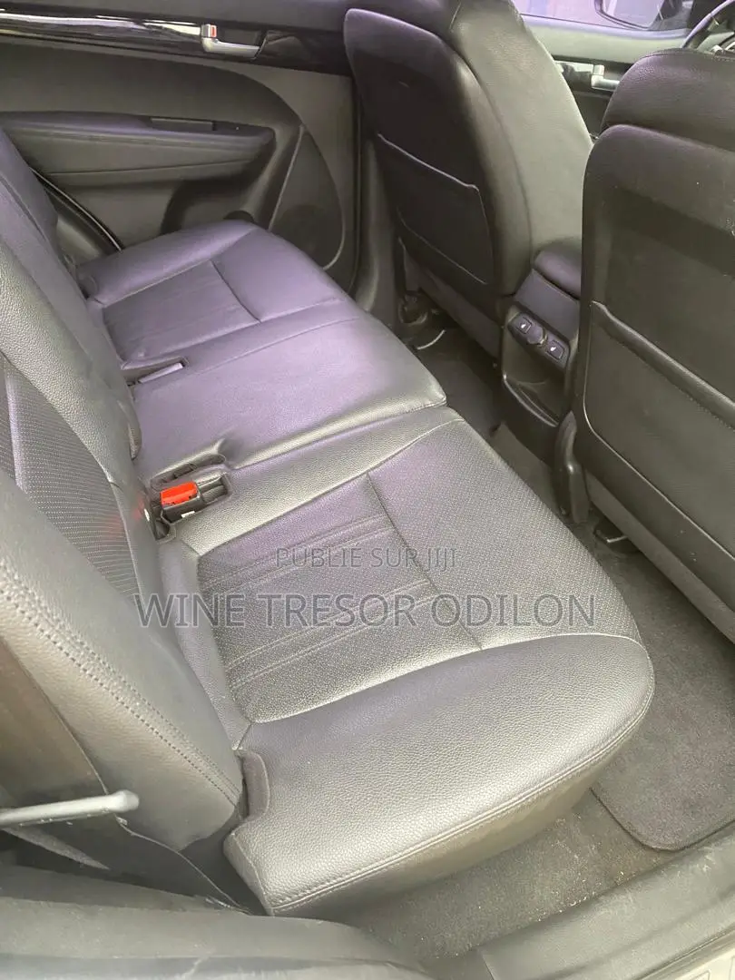 Kia Sorento Limited 4dr SUV AWD (3.3L 6cyl 6A) 2015 Gris