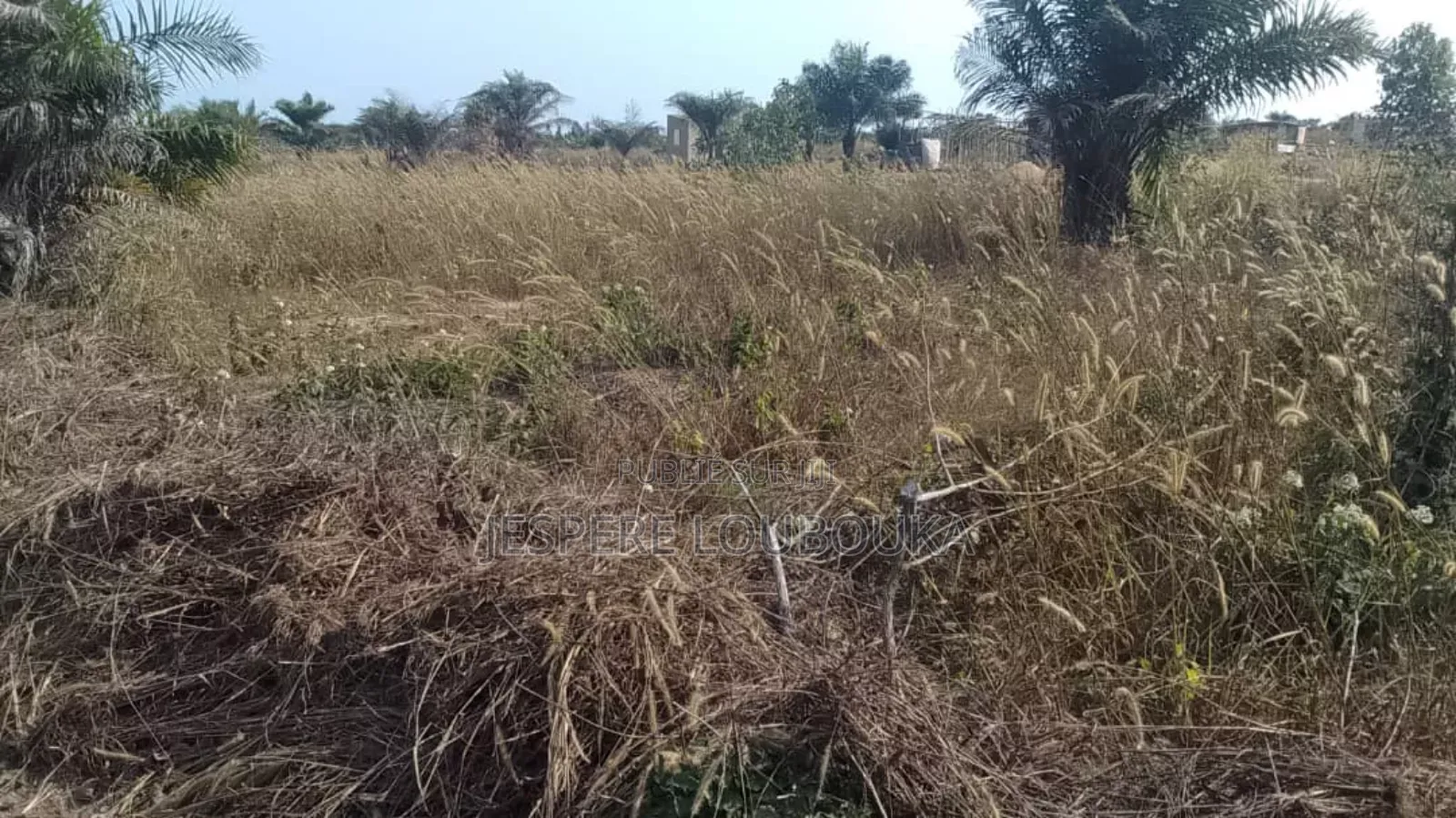 Parcelles / Blocs À Vendre