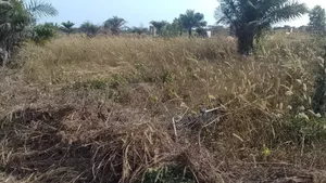 Parcelles / Blocs À Vendre