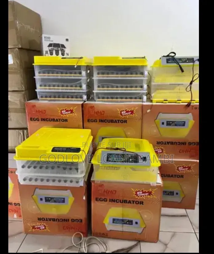 Incubateur / Couveuse