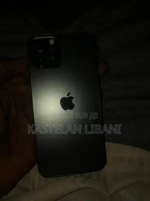 Nouveau Apple iPhone 12 Pro 256 GB Noir