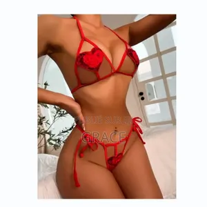 Ensemble Lingerie