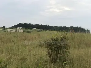5 Parcelles Jumelées (20m/100m)