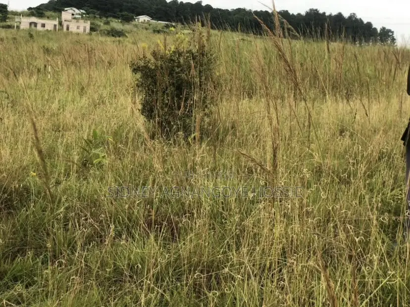 5 Parcelles Jumelées (20m/100m)