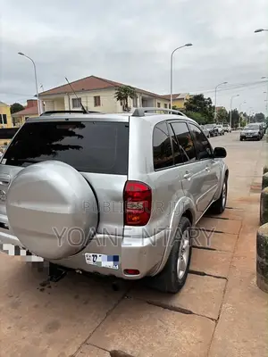 Toyota RAV4 2002 Gris