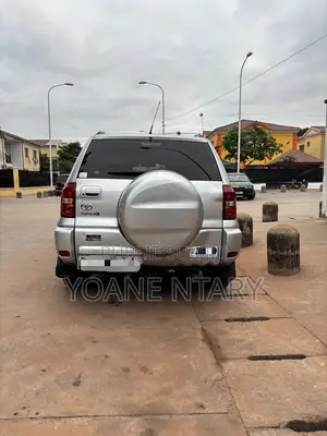 Toyota RAV4 2002 Gris
