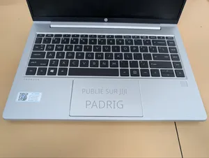 Ordinateur portable HP ProBook 445 G8 8GB AMD Ryzen 5 SSD 256GB