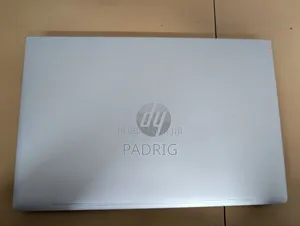 Ordinateur portable HP ProBook 445 G8 8GB AMD Ryzen 5 SSD 256GB