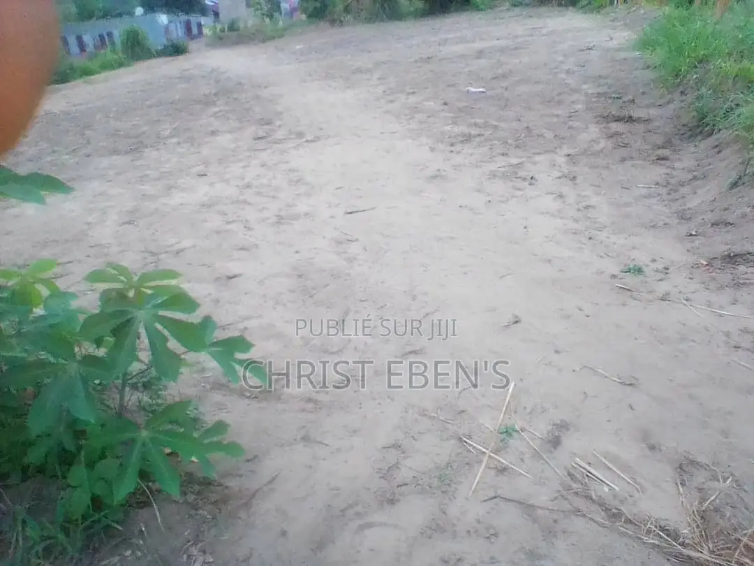 Parcelle À Kintelé