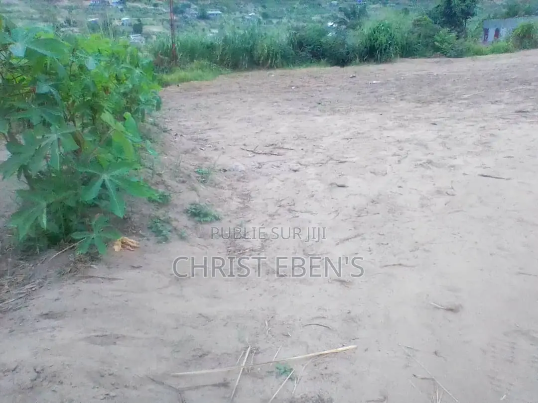 Parcelle À Kintelé