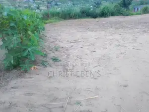 Parcelle À Kintelé