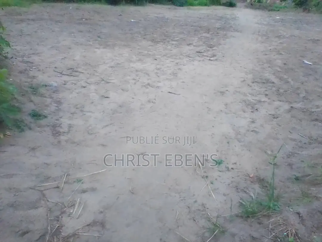 Parcelle À Kintelé