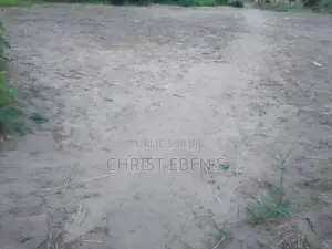 Parcelle À Kintelé