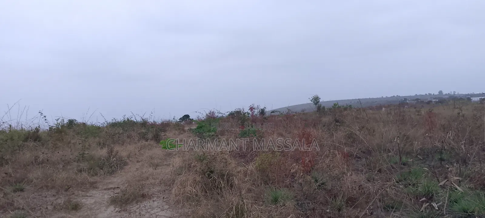 Terrain Plat