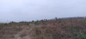 Terrain Plat