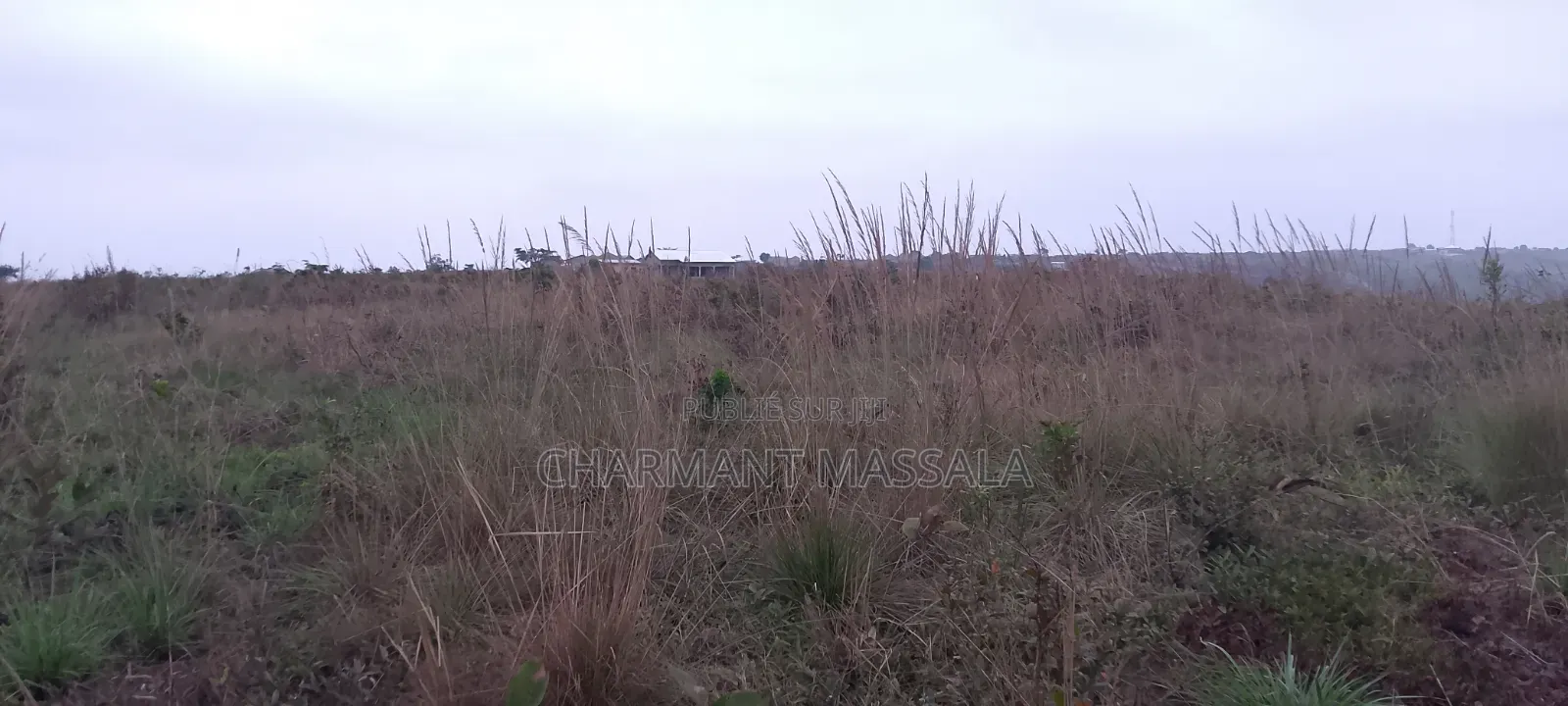 Terrain Plat