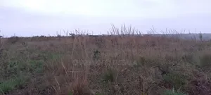Terrain Plat