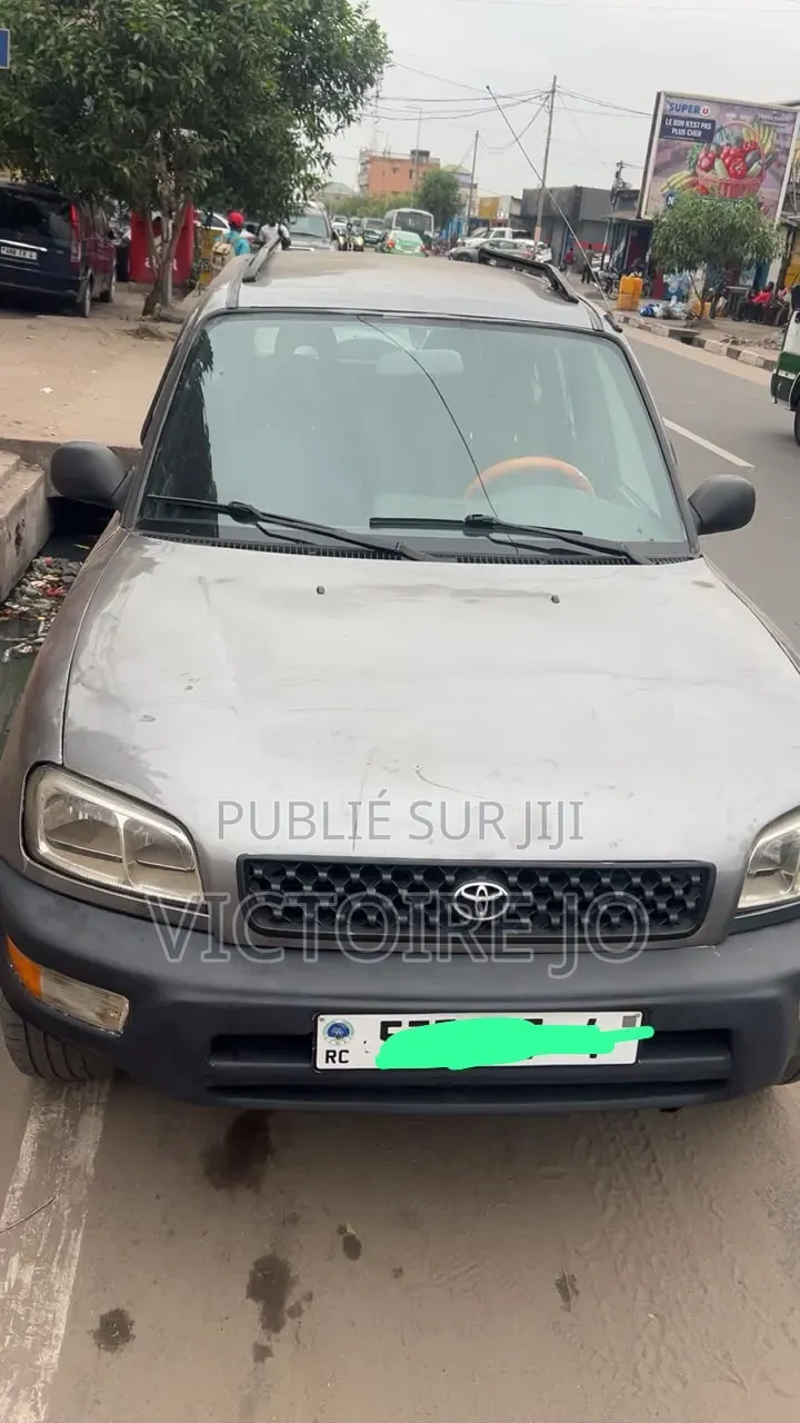Toyota RAV4 2014 Gris