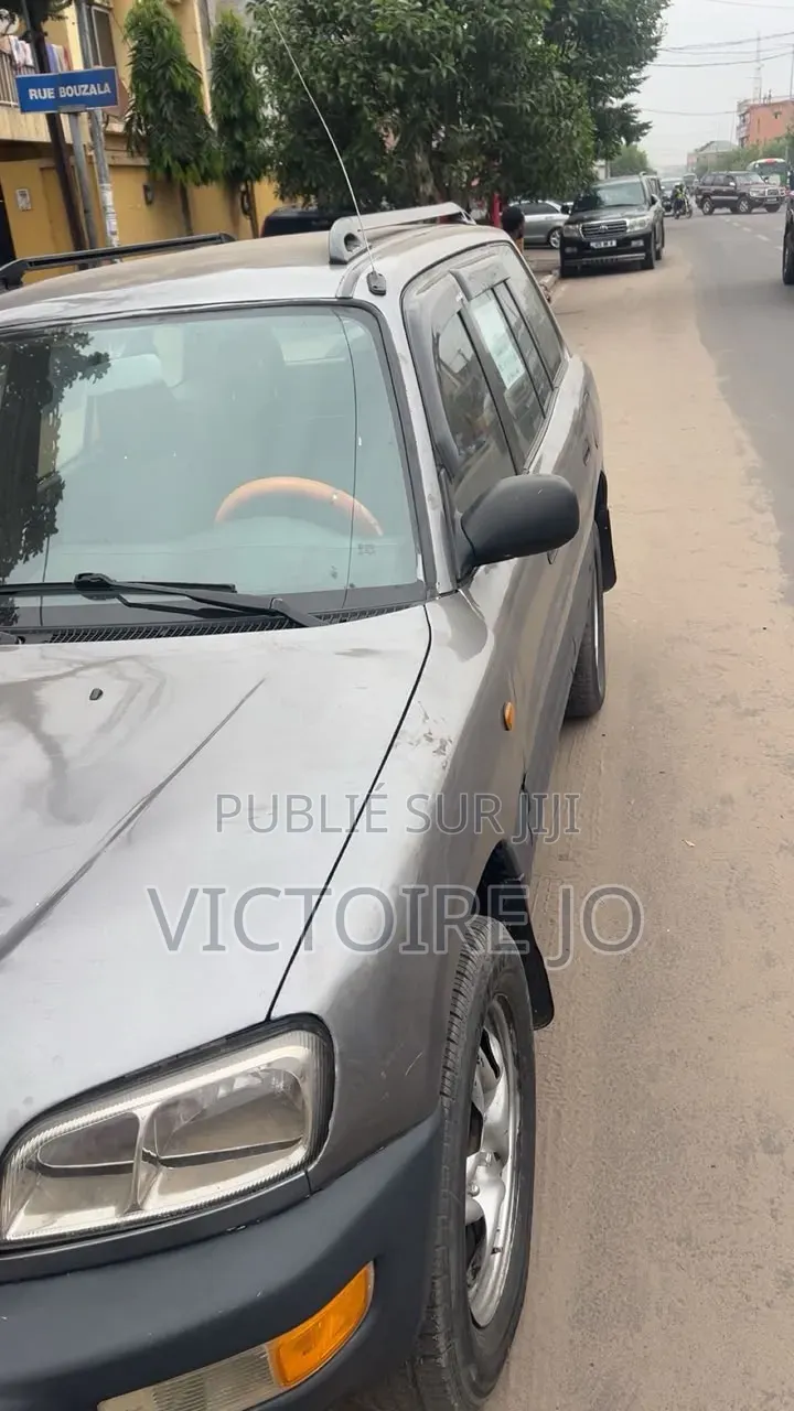 Toyota RAV4 2014 Gris