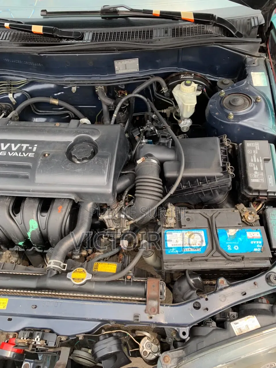 Toyota Corolla 2021 Vert