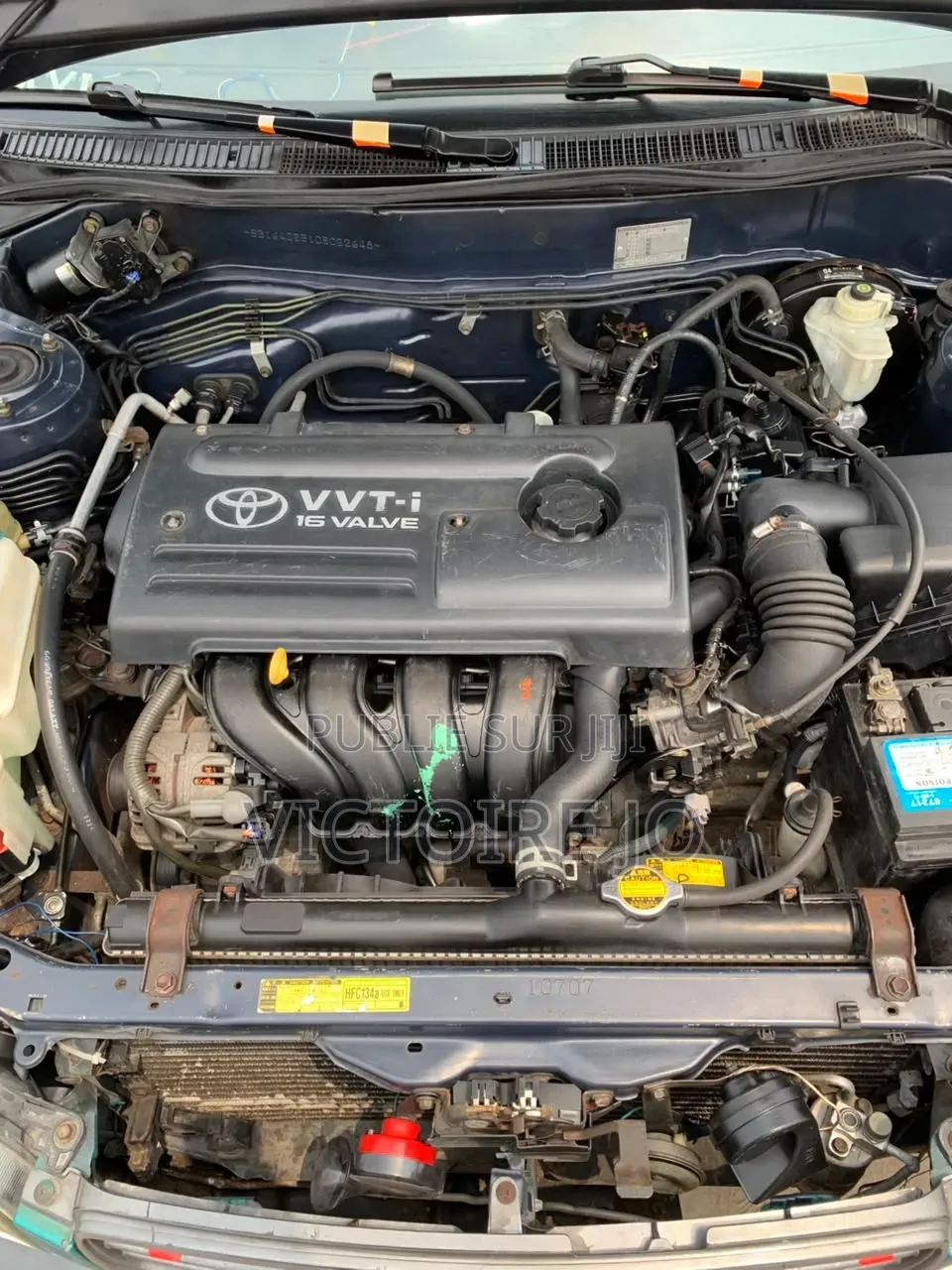 Toyota Corolla 2021 Vert