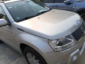 Suzuki Grand Vitara 2.4 2009 Gris