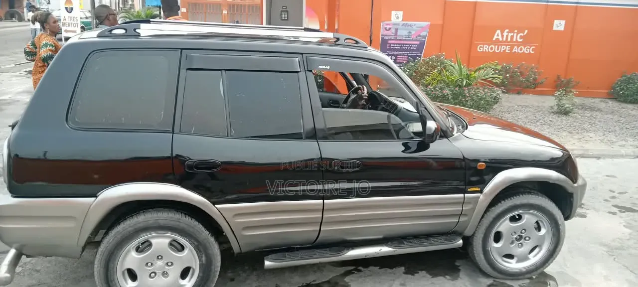 Toyota RAV4 2019 Gris