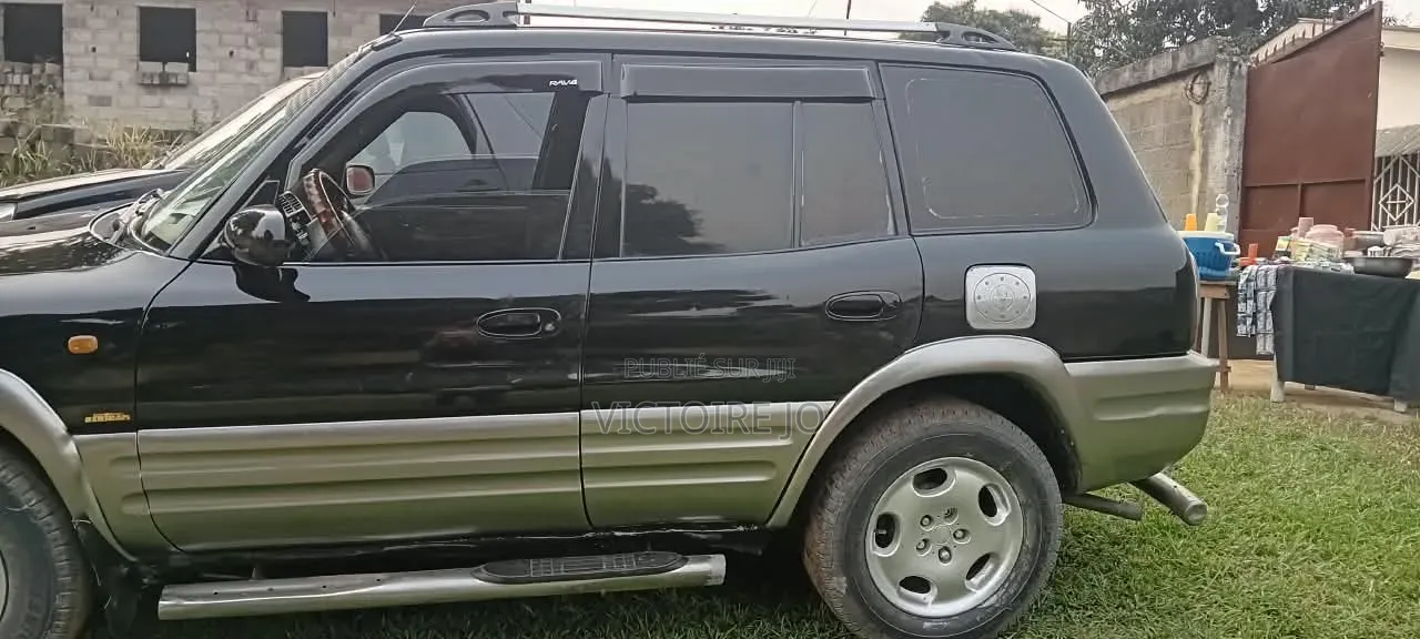 Toyota RAV4 2019 Gris