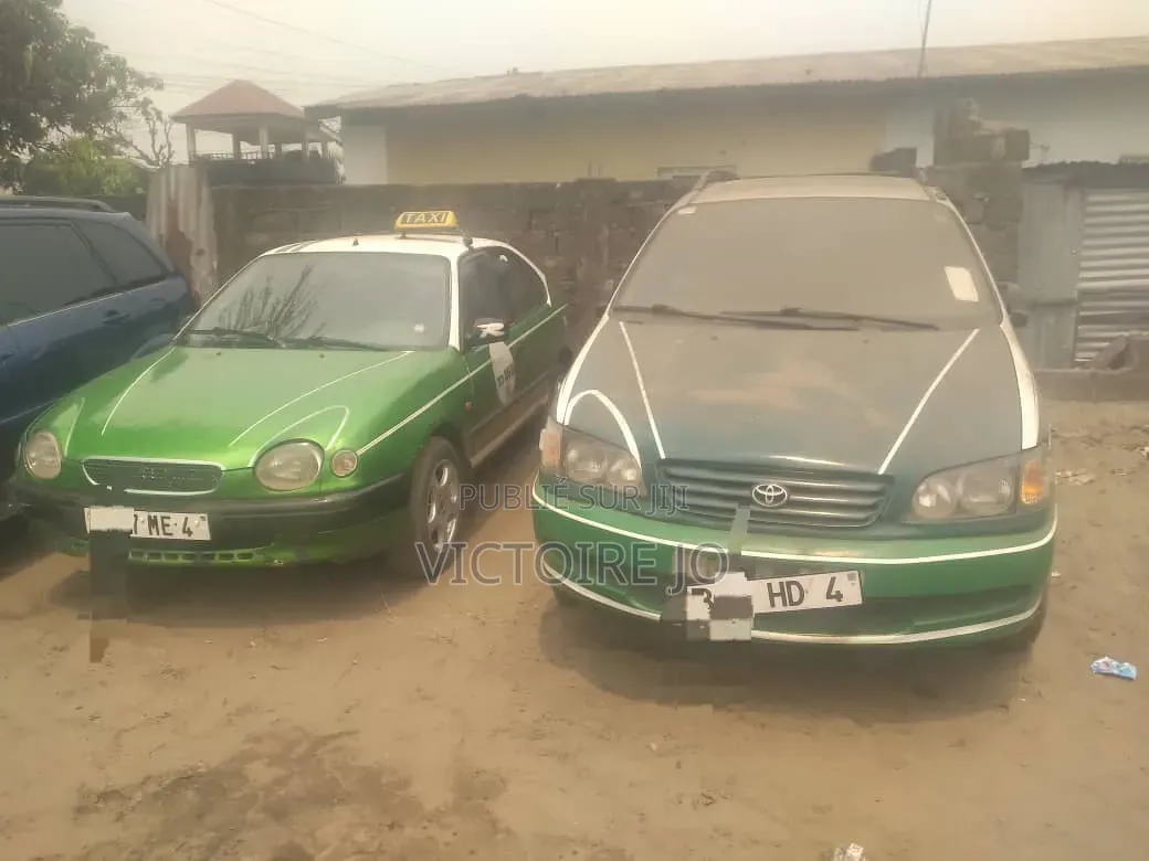 Toyota Picnic 2017 Vert