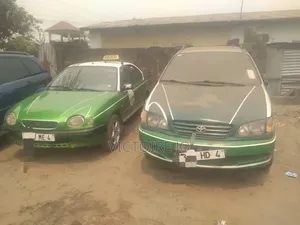Toyota Picnic 2017 Vert