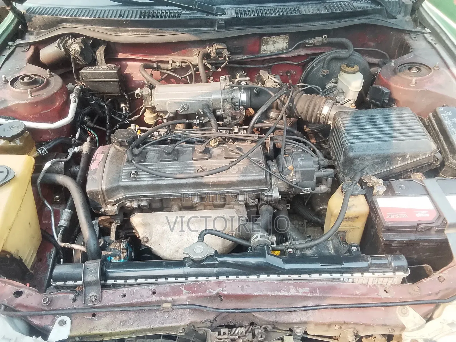 Toyota Corolla 2009 Vert