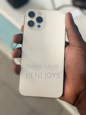 Nouveau Apple iPhone 12 Pro Max 256 GB Gris