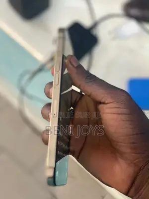 Nouveau Apple iPhone 12 Pro Max 256 GB Gris